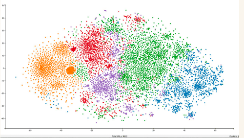 A Vector Map of content topics made with Screaming Frog